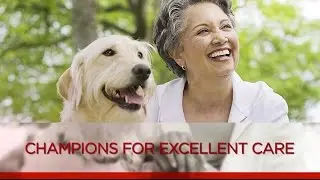 What makes a veterinary practice AAHA Accredited?