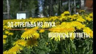 3Д стрельба из лука. Вопросы и ответы (часть 1)