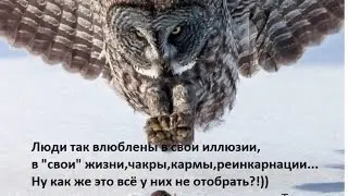 Тулукут - Одесса 6.02.16 г. 