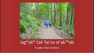 We Are Walking In The Woods - ləgʷax̌ʷ čəɫ ʔal tə st’ək’ʷəb | txʷəlšucid literacy