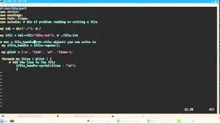 How do I learn Perl