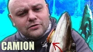 КАК КЭМИОН КОСИТ ЩУК // РЫБАЛКА с ПОДПИСЧИКОМ и ТРОФЕЙНЫЙ ГОЛАВЛЬ