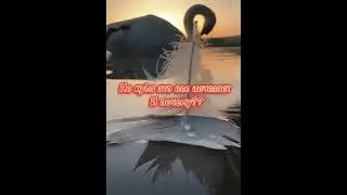 Любовь#отношения#семья#мужжена#БожьяВоля🫶