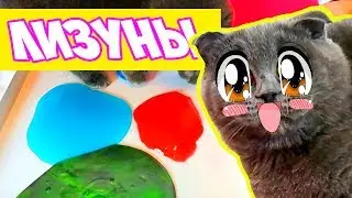 ЛИЗУНЫ ПРОТИВ ГОВОРЯЩЕГО КОТЕНКА ! СЪЕДОБНЫЙ  ЛИЗУН ?