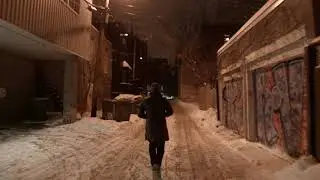 The Endless Alley (J. Peters)