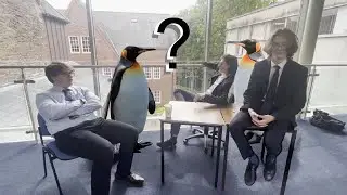 what do u think about penguins?