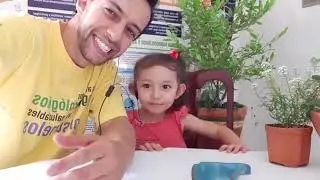 Siembra de hortalizas ecológicas en casa.