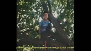 uide | summer haze archive | mood video