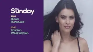 Shapes and Colors Broadcast Package - After Effects Template