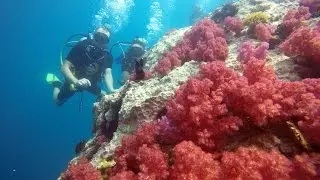ดำน้ำภูเก็ต King Cruiser Diving Trip