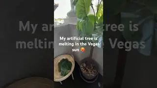 VEGAS IS SO HOT🥵 my artificial tree is melting #heatwaves  #vegas #shorts