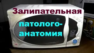 Сгорело освещение - расчленил магнетрон и сварил компот из лампочек