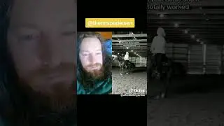Rachel Pedersen Horse 