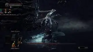 ds3 poto
