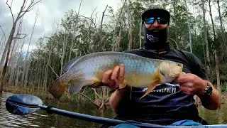 Saratoga Fishing Hinze Dam