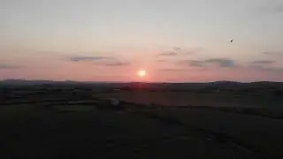 Sunset and Cornfield   HD 720p