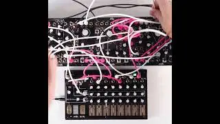 Tie your stereo patches together with the DXG!