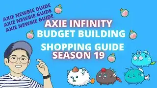 BUDGET BUILD SHOPPING GUIDE - SEASON 19 - TEAM IDEAS - AXIE TIPID TIPS