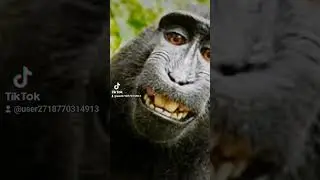 #рофл #ROFL