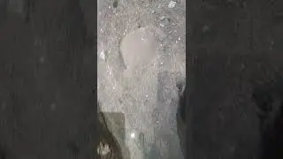 in da ground