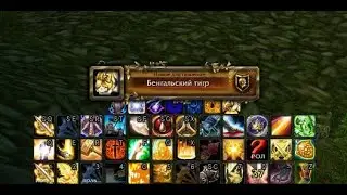 Гайд на получение Бенгальского тигра SIRUS X2