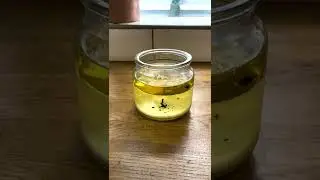 How to clean wax out of a candle!