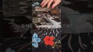 ЮТУБ АНАРИЭЛЬ🧿ТАРО; MY FAMILY🔥TAROT #таро #таролог #гадание #предсказание #маг#магия