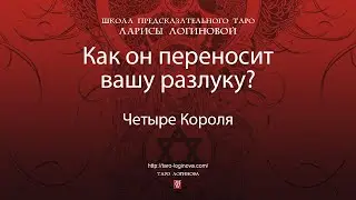 Как он переносит вашу разлуку?