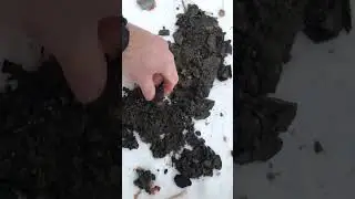 Когда металлоискатель бессилен, на помощь приходит пинпоинтер