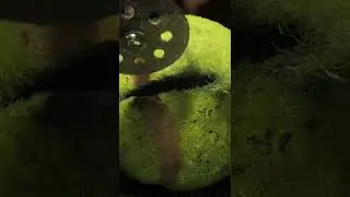What's Inside a TENNIS Ball 🎾 