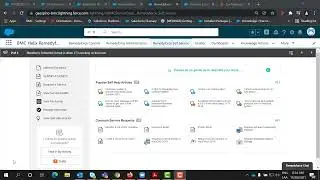 Managing Categories for Self Service and Remedyforce Chat v2 1