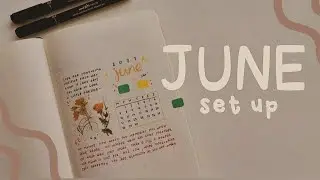 ❛ plan with me ❜ bullet journal // june set up ❀