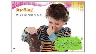 📚 Kids Book Read Aloud   Our 5 Senses    read aloud books for children  Story time   The Five Sense