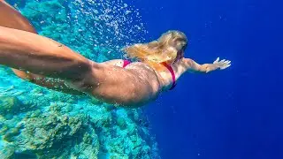 SNORKELING IN THE MALDIVES
