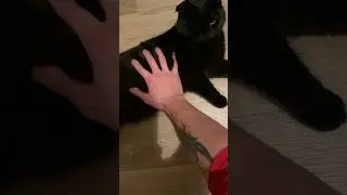 Поболтали о пузе 😄 /))) потолстел луч