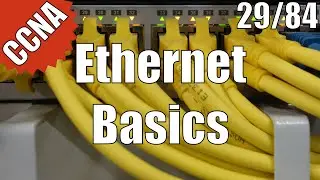CCNA/CCENT 200-120: Ethernet Basics 29/84 Free Video Training Course