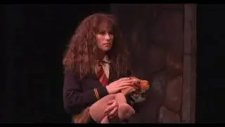 Granger Danger on Marimba