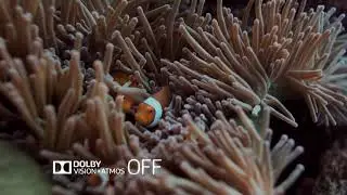 Dolby Vision, Dolby Atmos