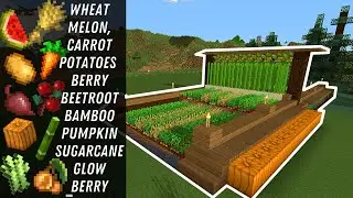 Minecraft | 10 Farm in ONE |  Easy Setup |  Bedrock and Java