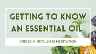Getting to Know a New Essential Oil - Mindfulness Meditation
