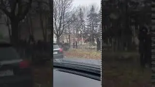 #Беларусь / На это можно смотреть бесконечно