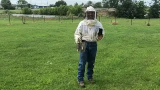 First Beehive Inspection
