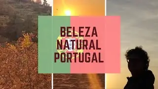 🇵🇹 Relax with images of the Porto city park. Portugal.