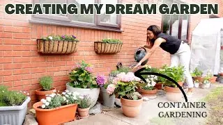 Creating my dream garden & container gardening | Pinterest inspired