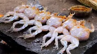 Catch n Cook Frog Recipe - Catch n Cook Frog on a Rock Recipe for Dinner and Eating Delicious