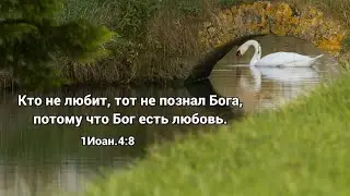2020.11.30 Вечерняя Молитва 
