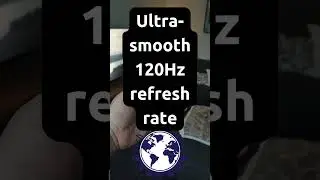 Google Pixel 9 Pro XL Facts from Google Gemini - Display 