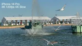 iPhone 16 Pro Max / 4K 120 fsp / 4X Slow Motion