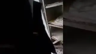 Мусулмони ёвони приколи девонашай