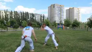 норм